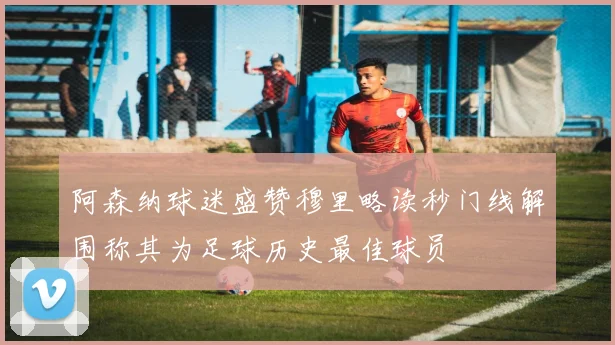 阿森纳球迷盛赞穆里略读秒门线解围称其为足球历史最佳球员