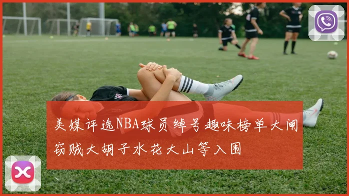 美媒评选NBA球员绰号趣味榜单大闸窃贼大胡子水花大山等入围