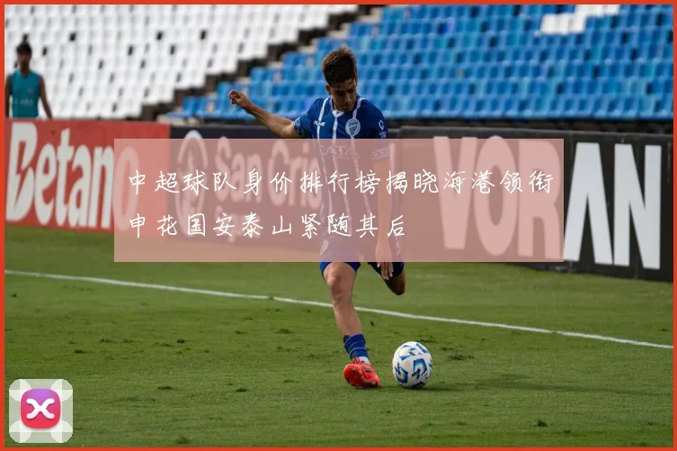 中超球队身价排行榜揭晓海港领衔申花国安泰山紧随其后