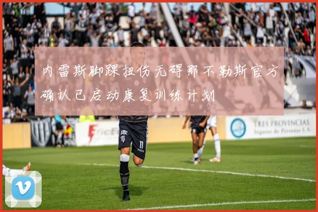 内雷斯脚踝扭伤无碍那不勒斯官方确认已启动康复训练计划