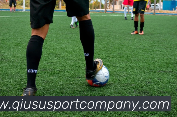 App Interface Preview