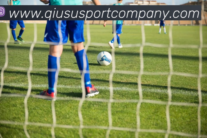 球速体育APP 封面图